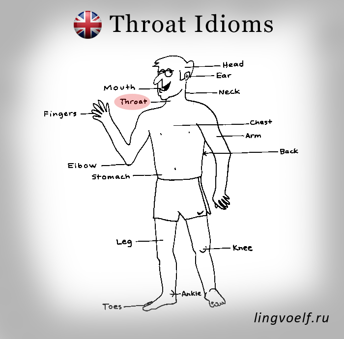 Throat idioms
